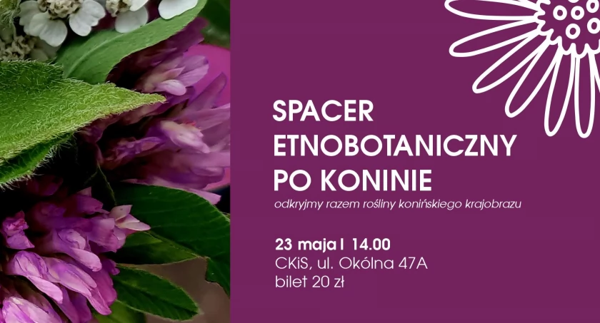Nasze miasto z roślinnej perspektywy