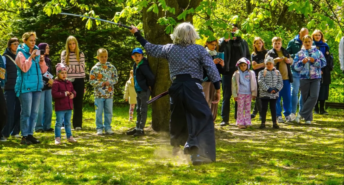 Japoński piknik Konin 2026. Hana Matsuri przyciągnęło tłumy do muzeum