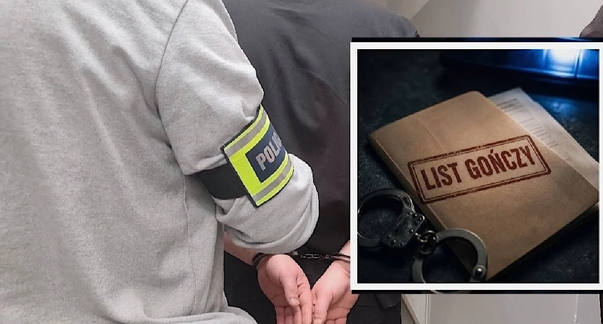 Poszukiwani zatrzymani. Skuteczne działania policji w Koninie i regionie