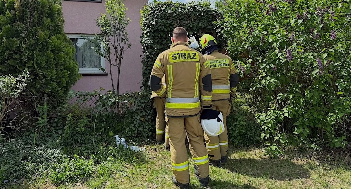 Ciało kobiety odnalezione na działkach w Ruszkowie. Na miejscu pracowały służby
