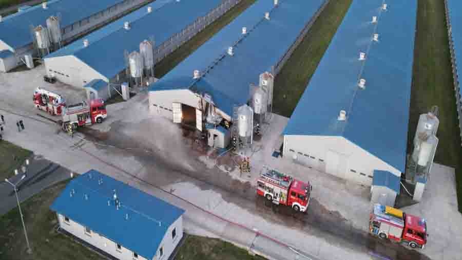 Pożar kurnika
