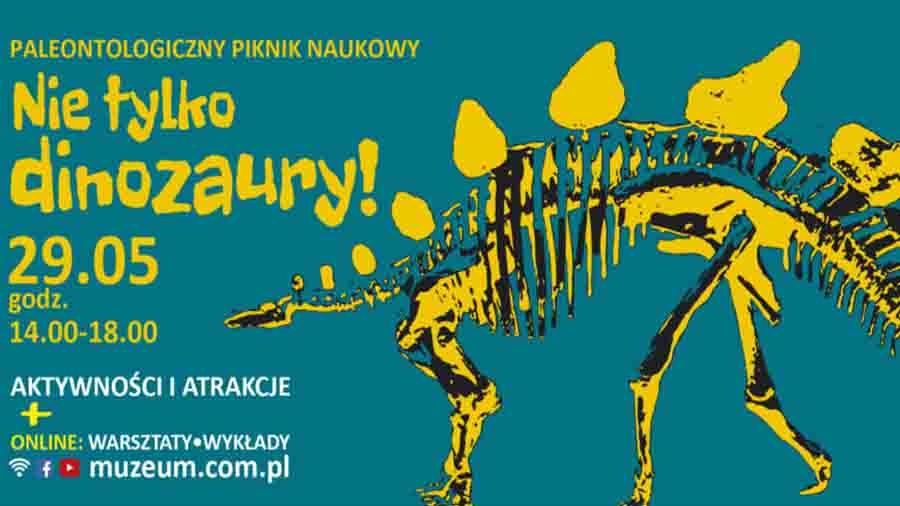 Piknik paleontologiczny w muzeum