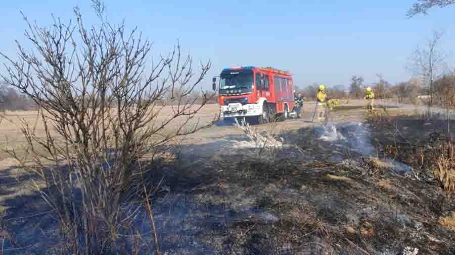 Pożar suchych traw na terenie gm. Zagórów