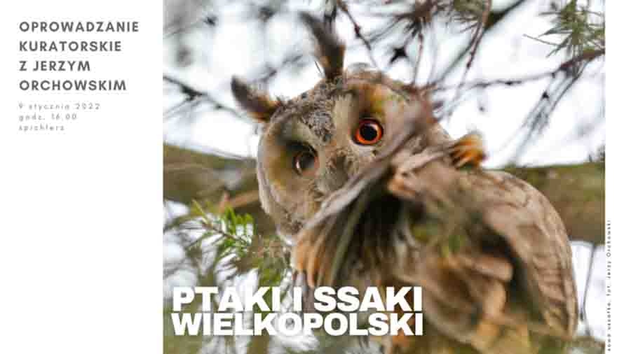 Ptaki i ssaki na wystawie