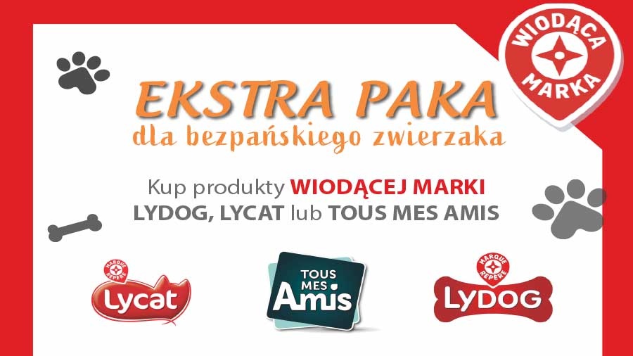 Paka dla bezpańskiego zwierzaka