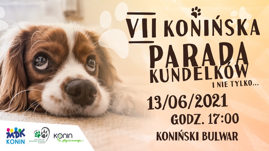 II parada z przyjaciółmi