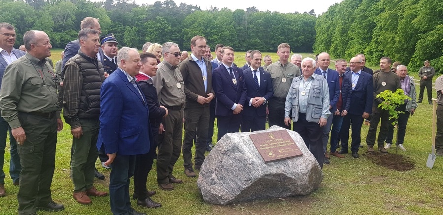 Łączą nas Drzewa