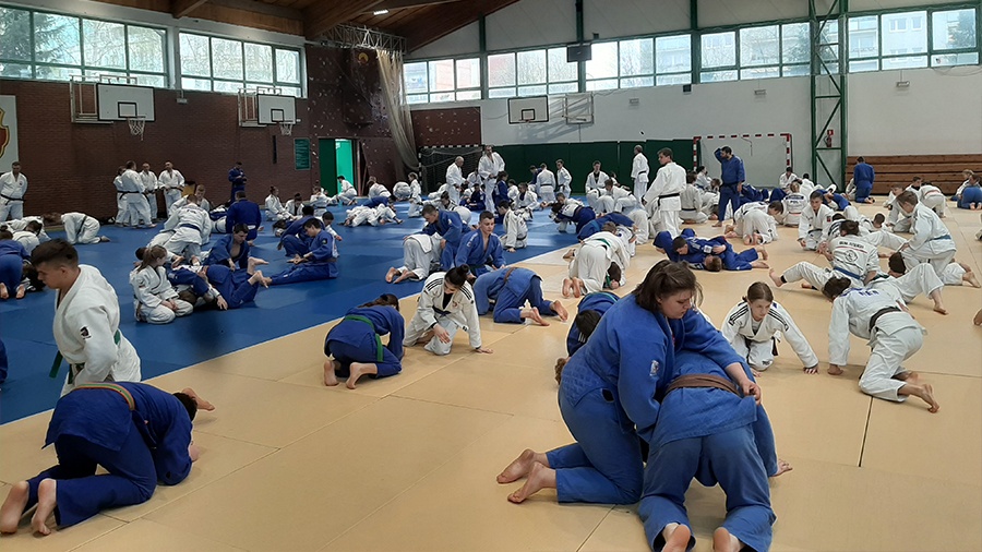 Zawodnicy judo szkółki się z olimpijczykami