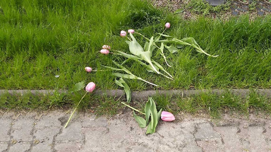 Wandal zniszczył kwiaty