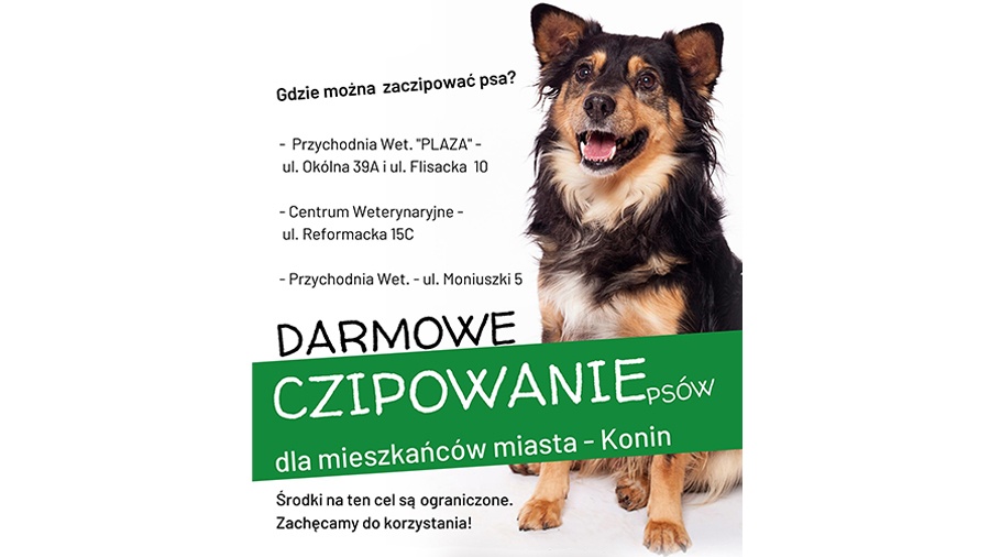 Darmowe czipowanie psów w Koninie