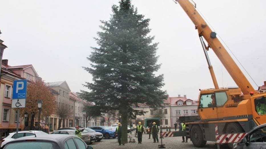 11 metrowa choinka stanęła na starówce