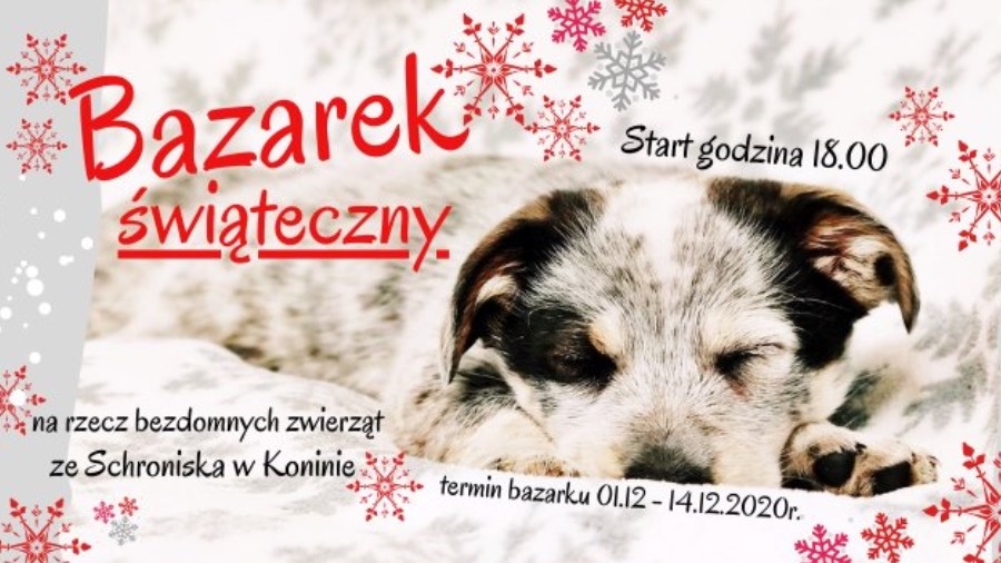 Świąteczny Bazarek na rzecz schroniska