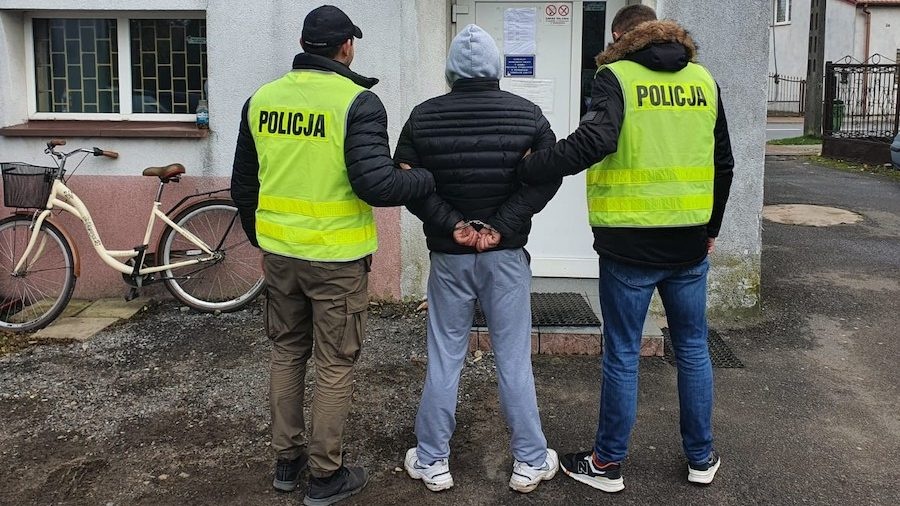 Cmentarna hiena zatrzymana