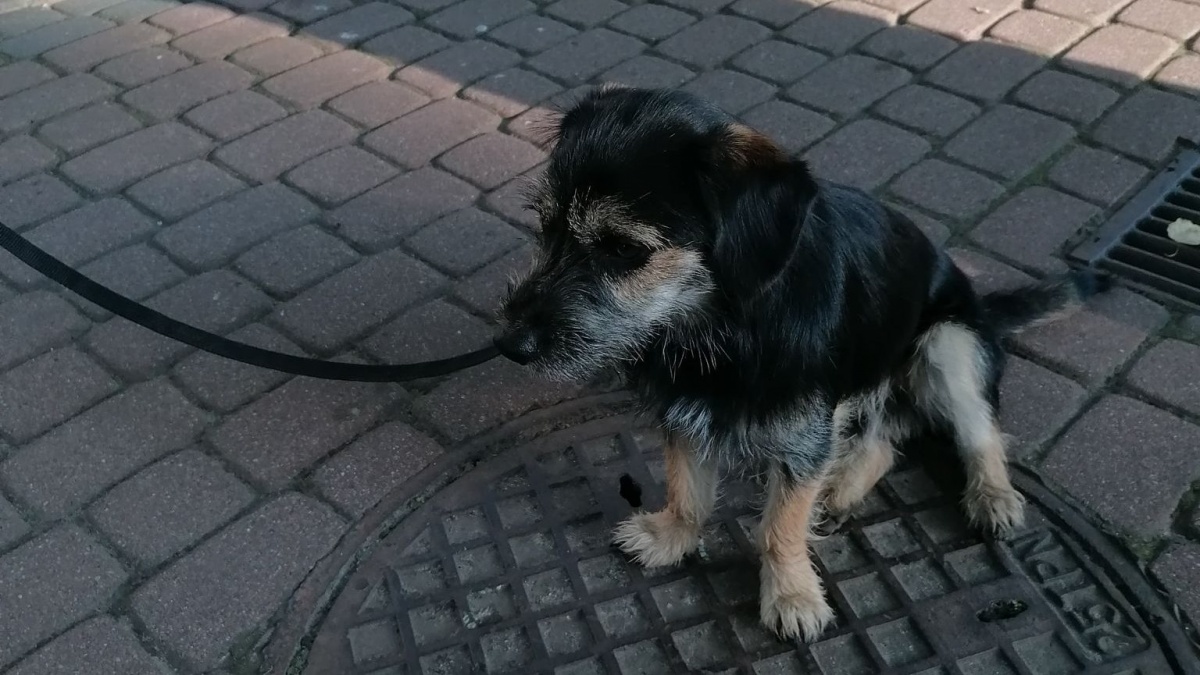 Czyja zguba?