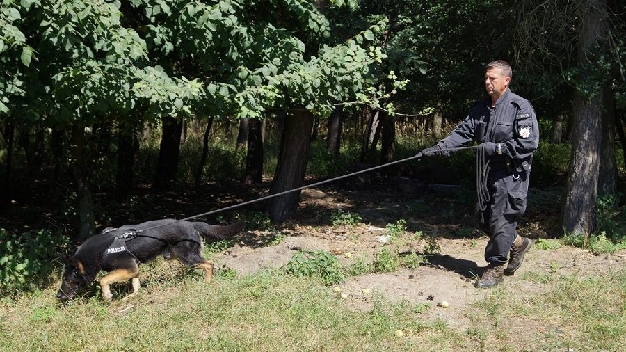 Zaginiony mężczyzna odnalazł się