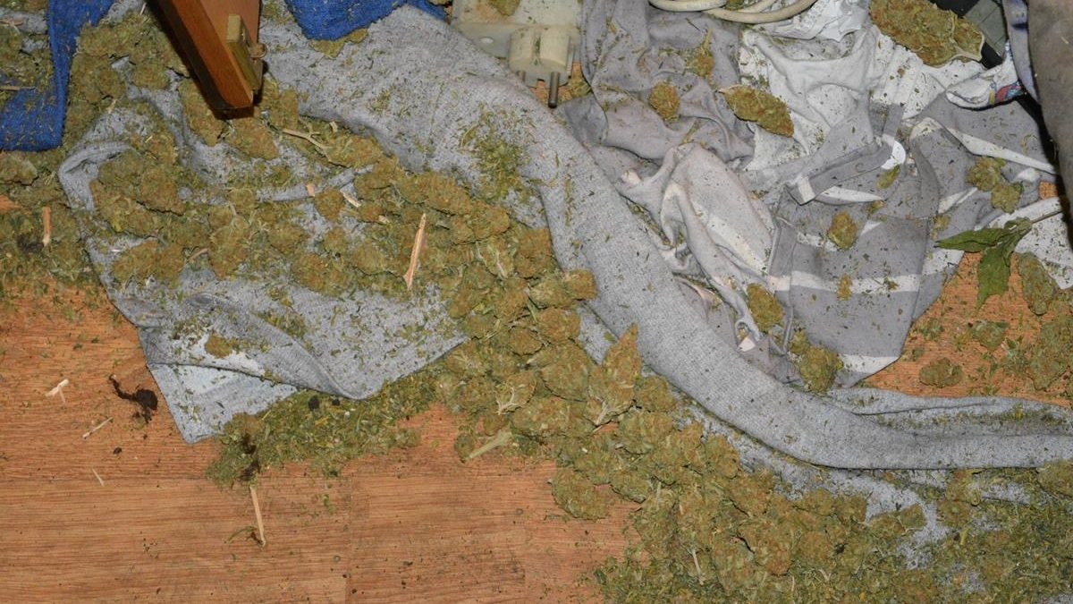 24-latek posiadał bliska 400 gramów marihuany w domu