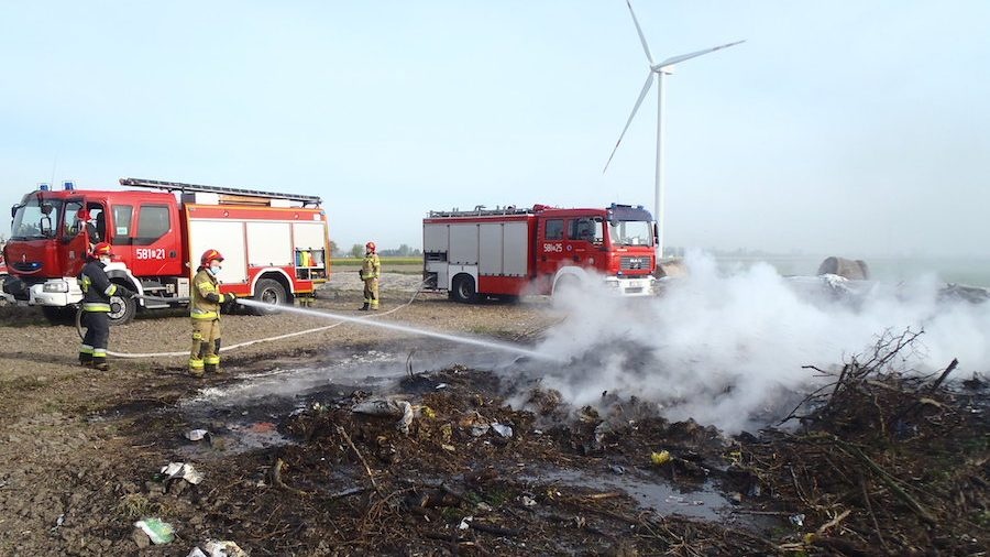 Wypalał gałęzie został ukarany mandatem karnym