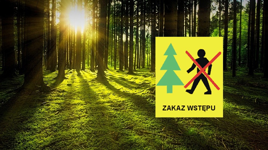 Tymczasowy zakaz wstępu do lasu