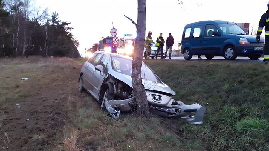 Kierowca uderzył w drzewo
