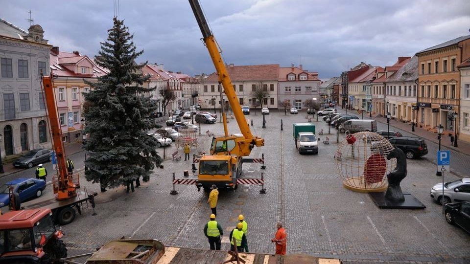 Choinka pojawiła się na rynku