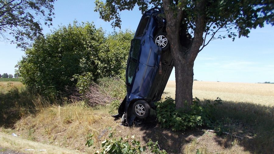 Ford na drzewie w Jaroszewicach Grodzieckich