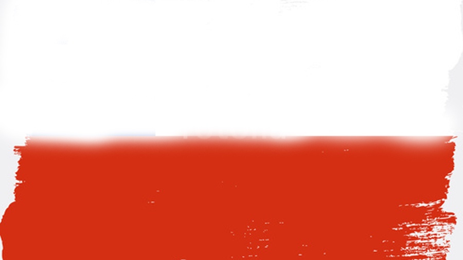 Łączy nas Polska