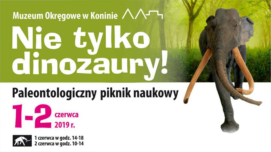 Nie tylko dinozaury