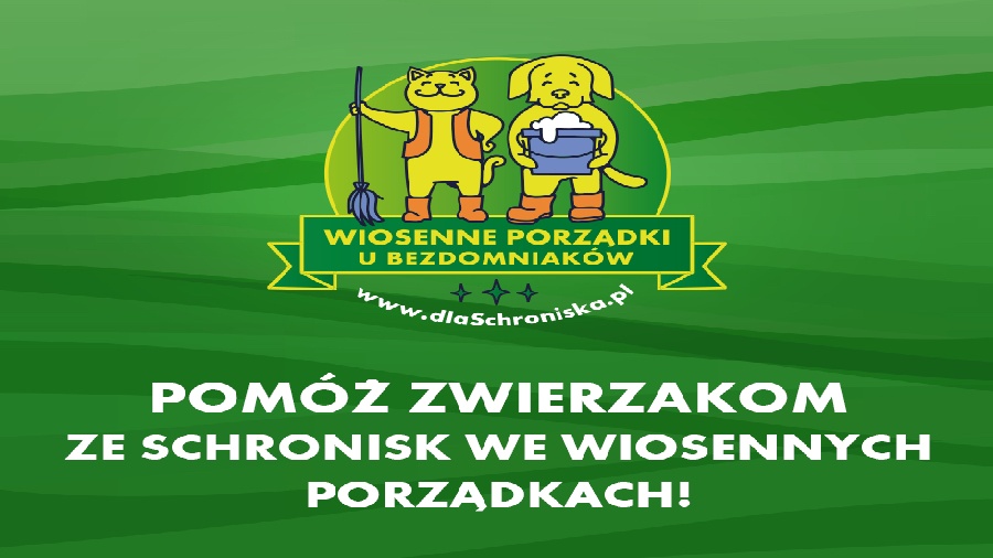 Pomóż Schronisku w Koninie w wiosennym sprzątaniu