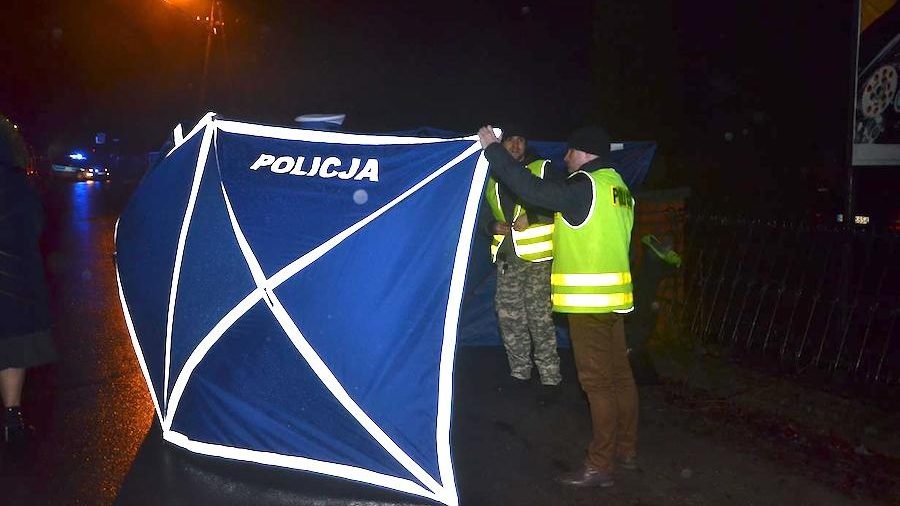 Kolejna śmiertelna ofiara na drodze