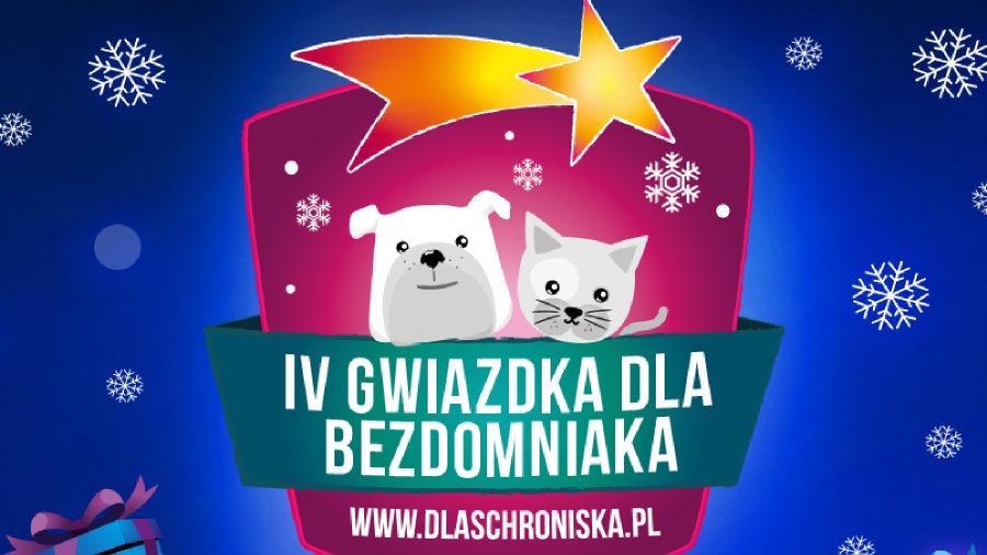Pomóż zebrać jeszcze więcej karmy dla bezdomniaków z Konina