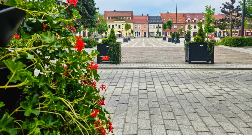 Myślenice. No to ładne kwiatki- zauważyliście różnicę ? 
