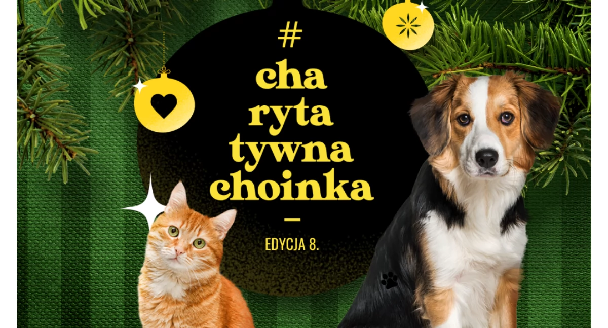 Ruszyła 8. edycja ogólnopolskiej akcji   #CharytatywnaChoinka od Karmimy Psiaki- wesprzeć można m.in. bezdomniaki z Przytul Sierściucha 