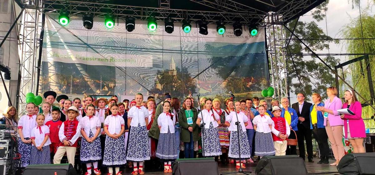 Lisiecka Przestrzeń Rozwoju. Festiwal Organizacji Społecznych - Piknik Lisiecki 2022