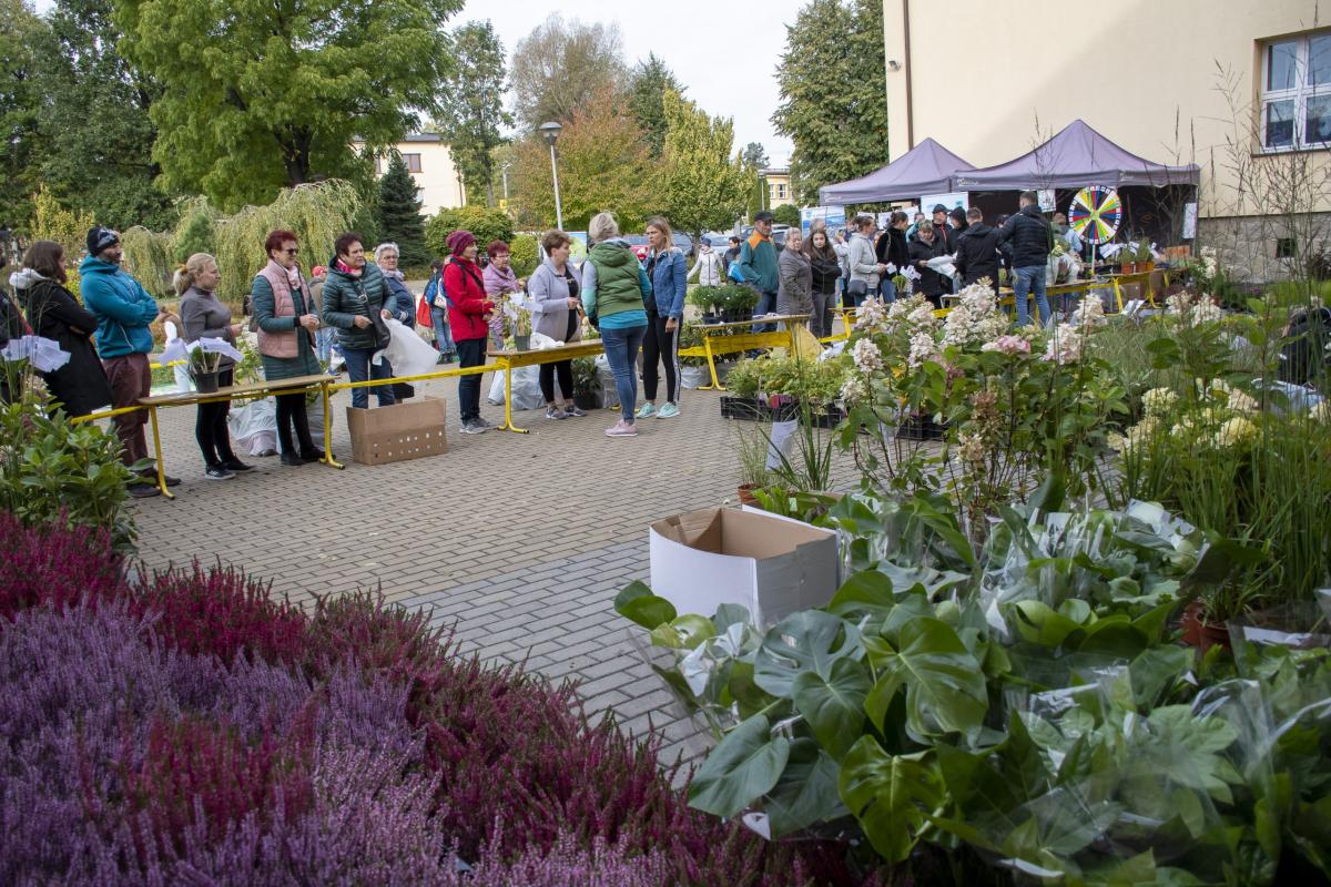 Piknik Ekologiczny: 4 tysiące sadzonek trafiło do mieszkańców Gminy Myślenice