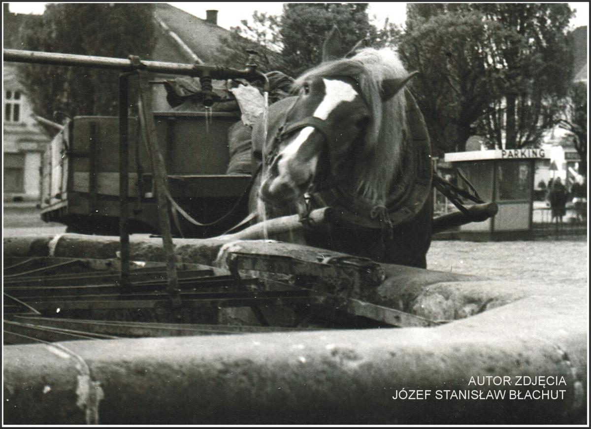 Perły Myślenic. Rok 1973. Koń przy studni 