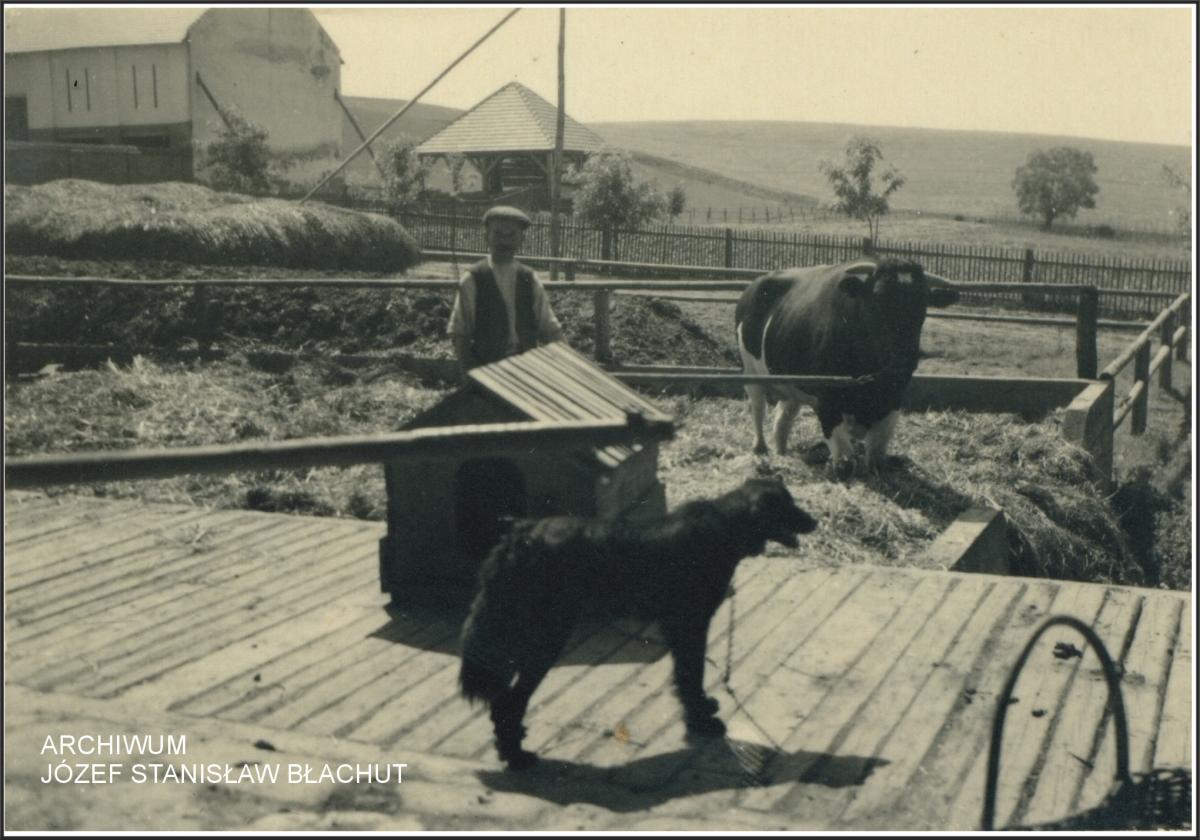 Perły Ziemi Myślenickiej. Siepraw Kawęciny 1927 rok