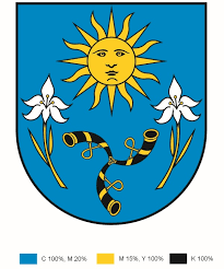 Realizacja inicjatyw obywatelskich w Sieprawiu