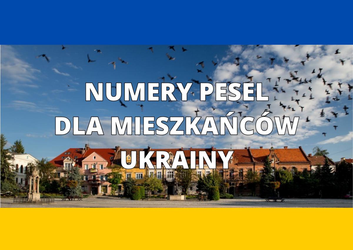 Najważniejsze informacje o numerach PESEL dla uchodźców z Ukrainy