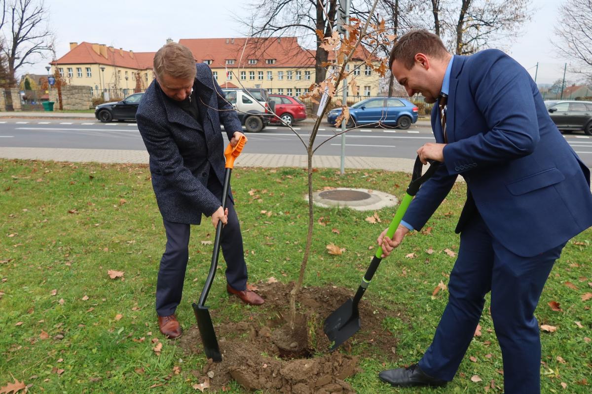 Powiat myślenicki- 