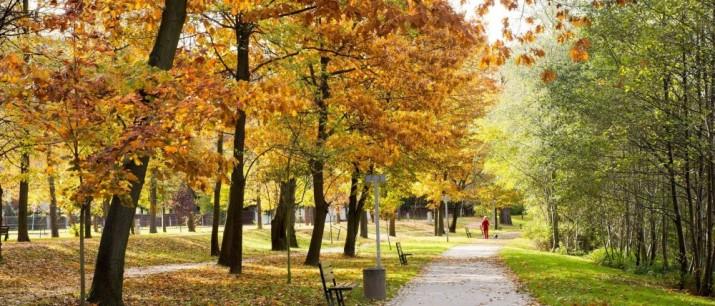 Ronda w Myślenicach oraz Park Miejski na Zarabiu mają swoje nazwy