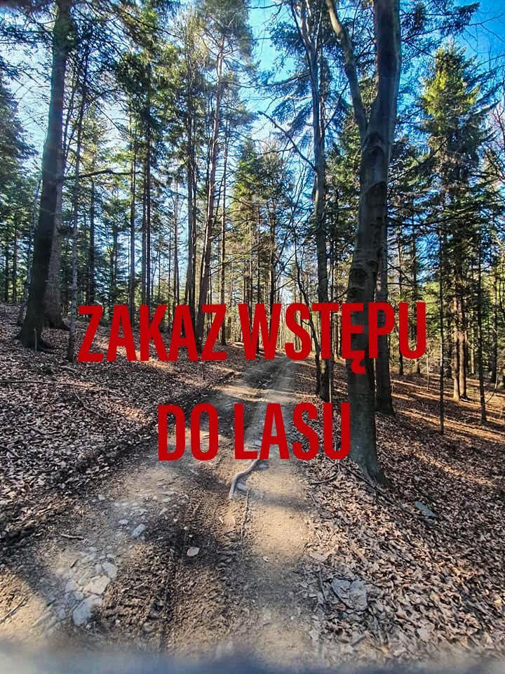 Tymczasowy zakaz wstępu do lasu
