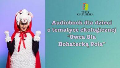 Owca Ola bohaterką pola. Audiobook dla dzieci