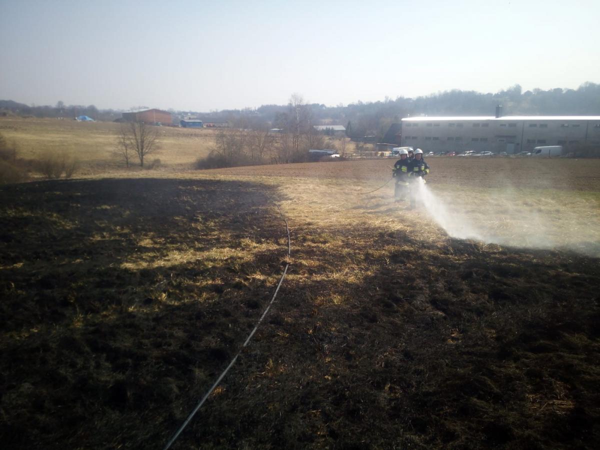 Pożary traw dają się we znaki