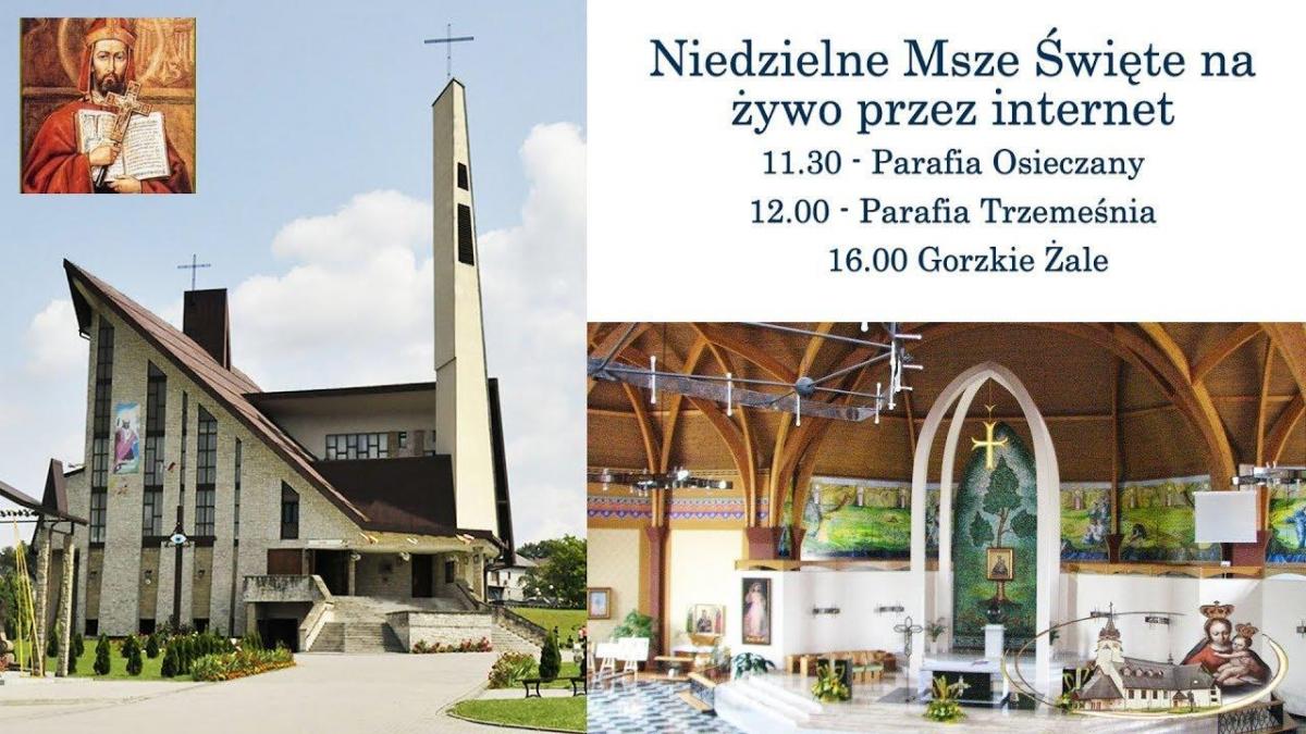 Transmisja Mszy Świętej