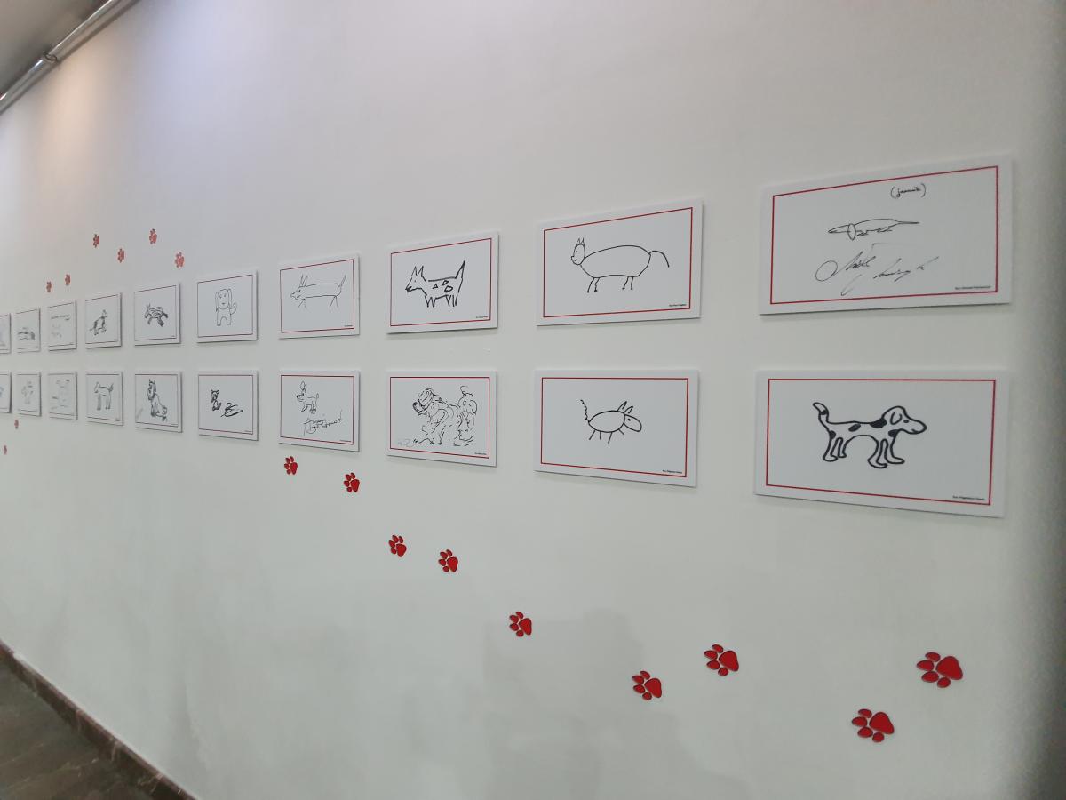 Wernisaż z psami w centrum