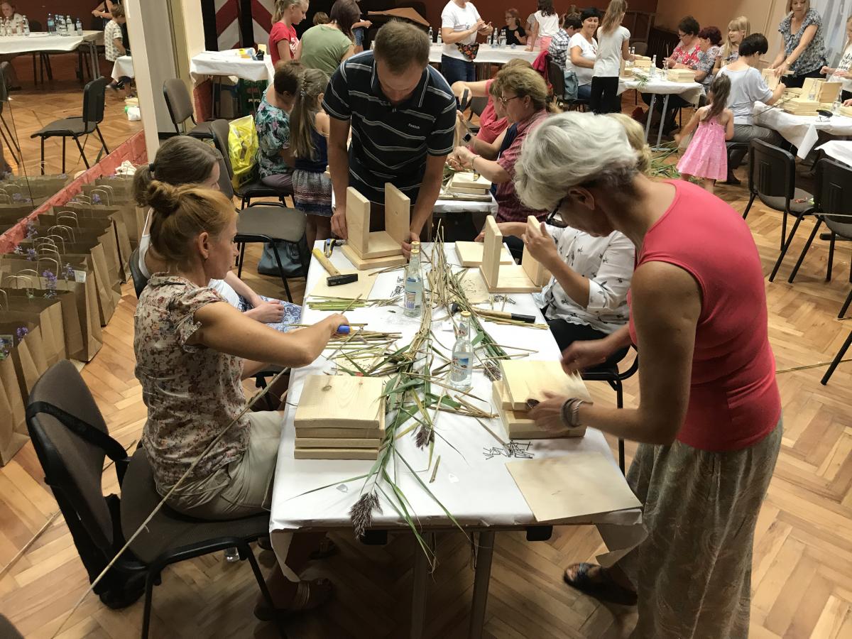 Młotki poszły w ruch, a  wszystko to dla zapylaczy