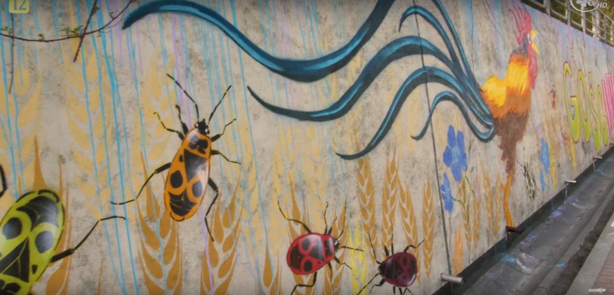 Regio-Mural w Pcimiu, o co chodzi?