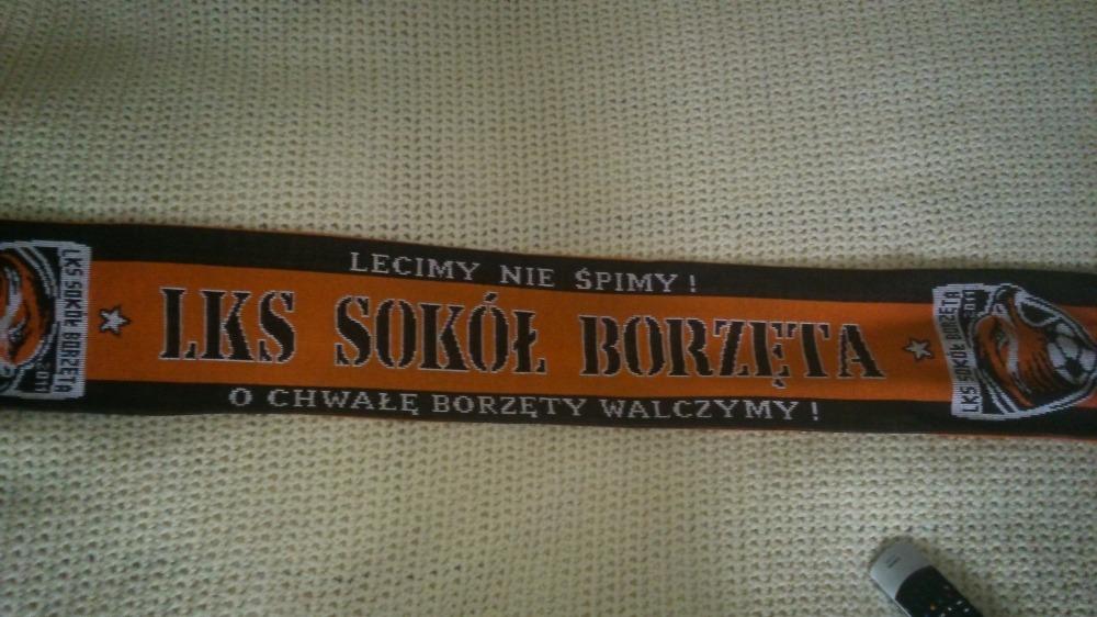Zrzutka na boisko sportowe dla LKS Sokół Borzęta