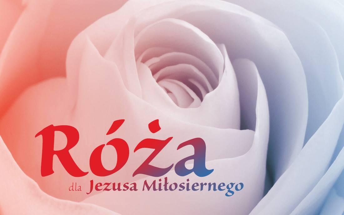 Róża dla Jezusa Miłosiernego już 27 kwietnia w Krakowie