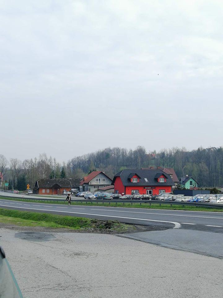 Chodziła po zakopiance stwarzając zagrożenie. Pomogli jej dzielnicowi